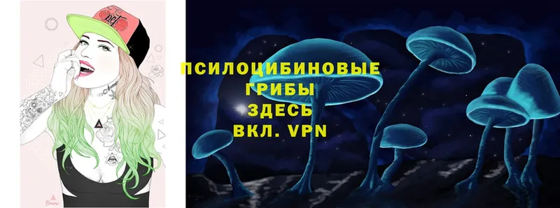 гидра вход  Гатчина  Галлюциногенные грибы мухоморы 